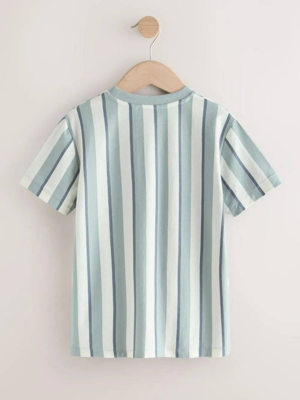 Next Mineral Stripe Regular Fit Short Sleeve Graphic Print T-Shirt (3-16yrs)^BOY Tops|T-Shirts