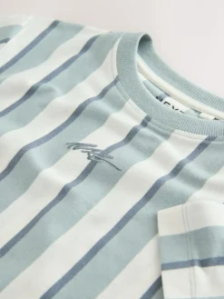 Next Mineral Stripe Regular Fit Short Sleeve Graphic Print T-Shirt (3-16yrs)^BOY Tops|T-Shirts