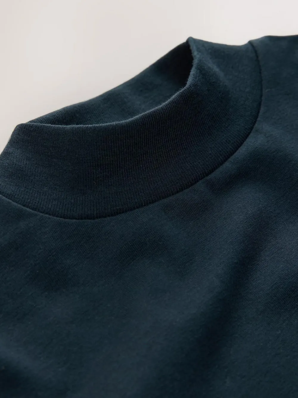 Next Long Sleeve Turtle Neck T-Shirt (3mths-7yrs)^BOY T-Shirts