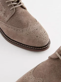 Sale Next Standard Fit (F) Leather Laceup Brogue Shoes Neutral Suede