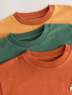 Next Long Sleeve Appliqué T-Shirts 3 Pack (3mths-7yrs)^BOY Tops|Multipacks