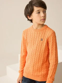 Next Orange Cable Knit Crew Neck Jumper (3-16yrs)^BOY Knitwear & Sweaters|Knitwear