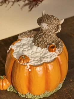 Next Orange Hamish Pumpkin Bath Ornament