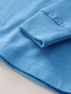 Next Pale Blue Regular Fit Long Sleeve Cosy T-Shirt (3-16yrs)^BOY Tops|T-Shirts