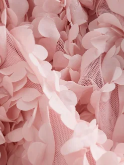 Clearance Next Pink 3D Floral Occasion Dress (3-14yrs)