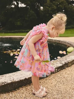 Next Ruffle Shoulder Mesh Dress (3mths-7yrs) Pink