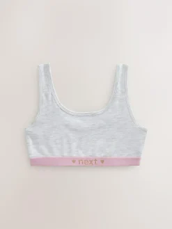 Next Pink/Grey Scoop Crop Tops 3 Pack (5-16yrs)^ Underwear|Bras & Crop Tops