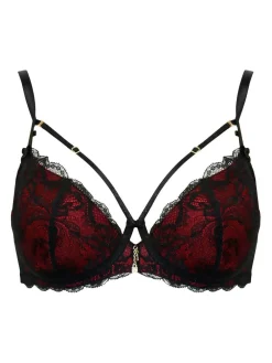 Pour Moi Padded Desire Lightly Underwired Bra^Women Dd+ Range