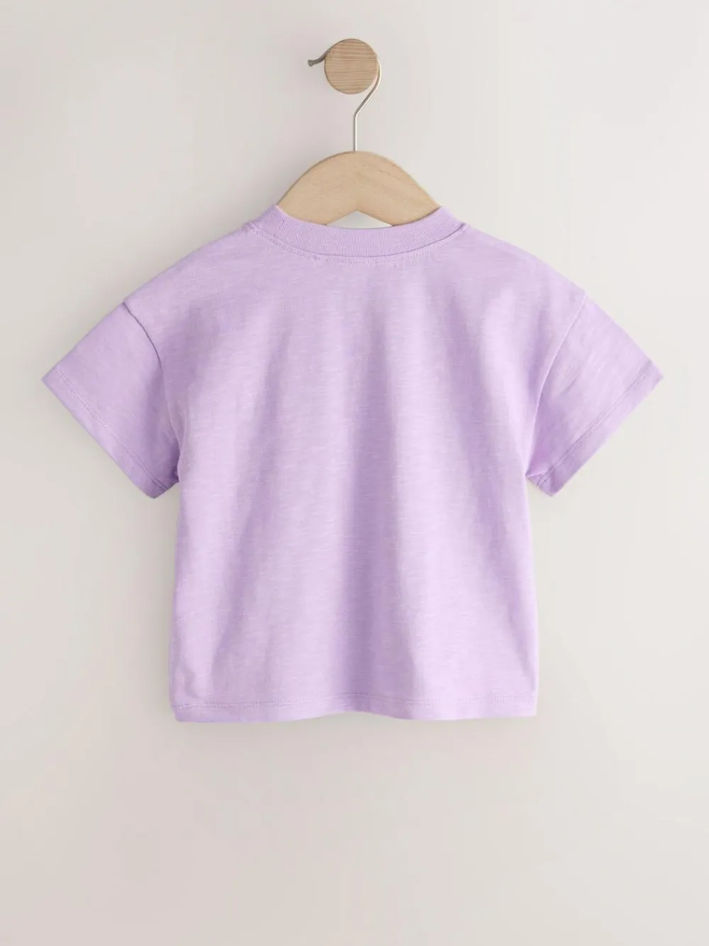 Clearance Next Short Sleeve Embroidered T-Shirt (3mths-7yrs) Purple Lemon