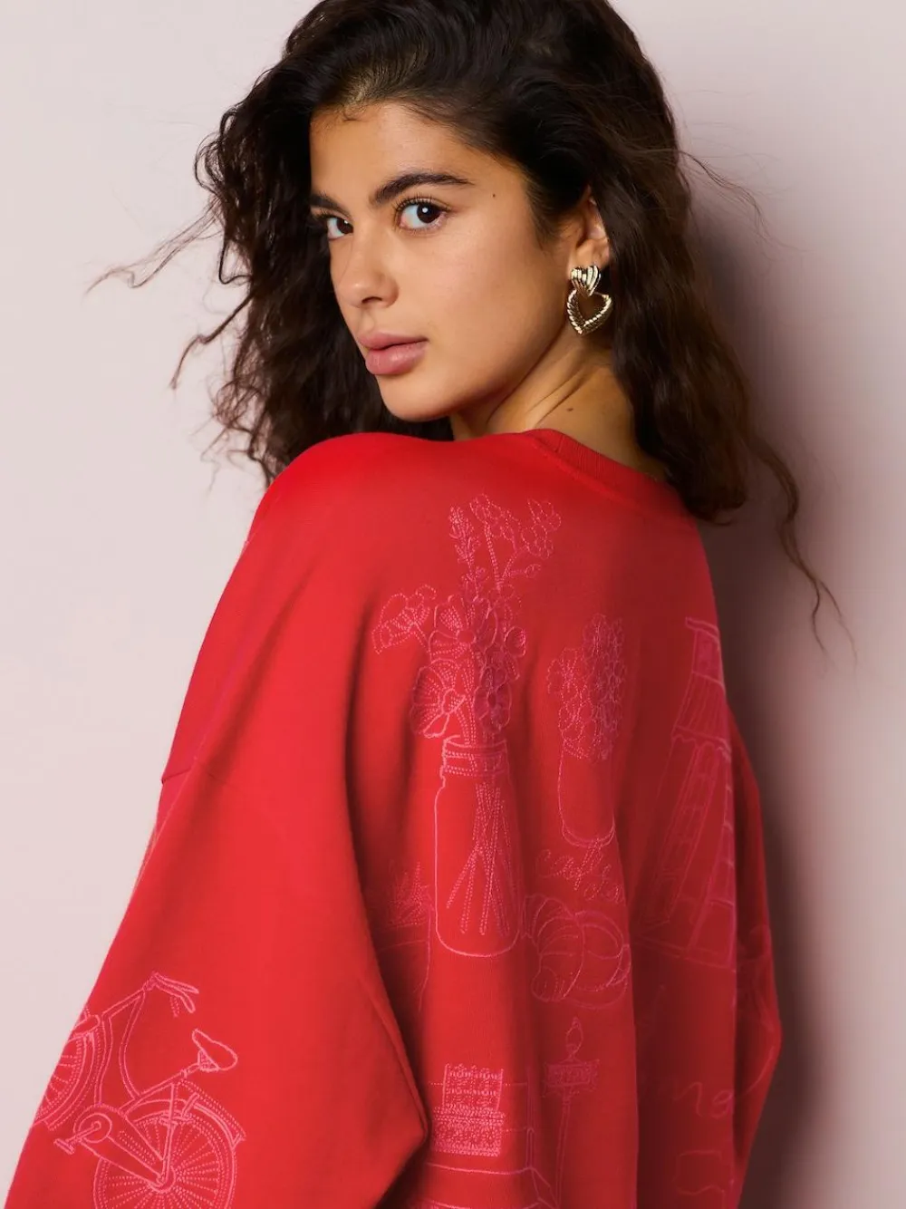 Next Red Embroidered Sweatshirt^Women Hoodies & Sweatshirts