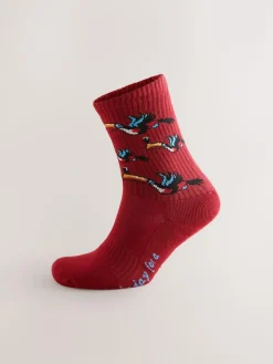 Next Red/Blue Guinness Licence Sports Socks 2 Pack^ Socks|Socks