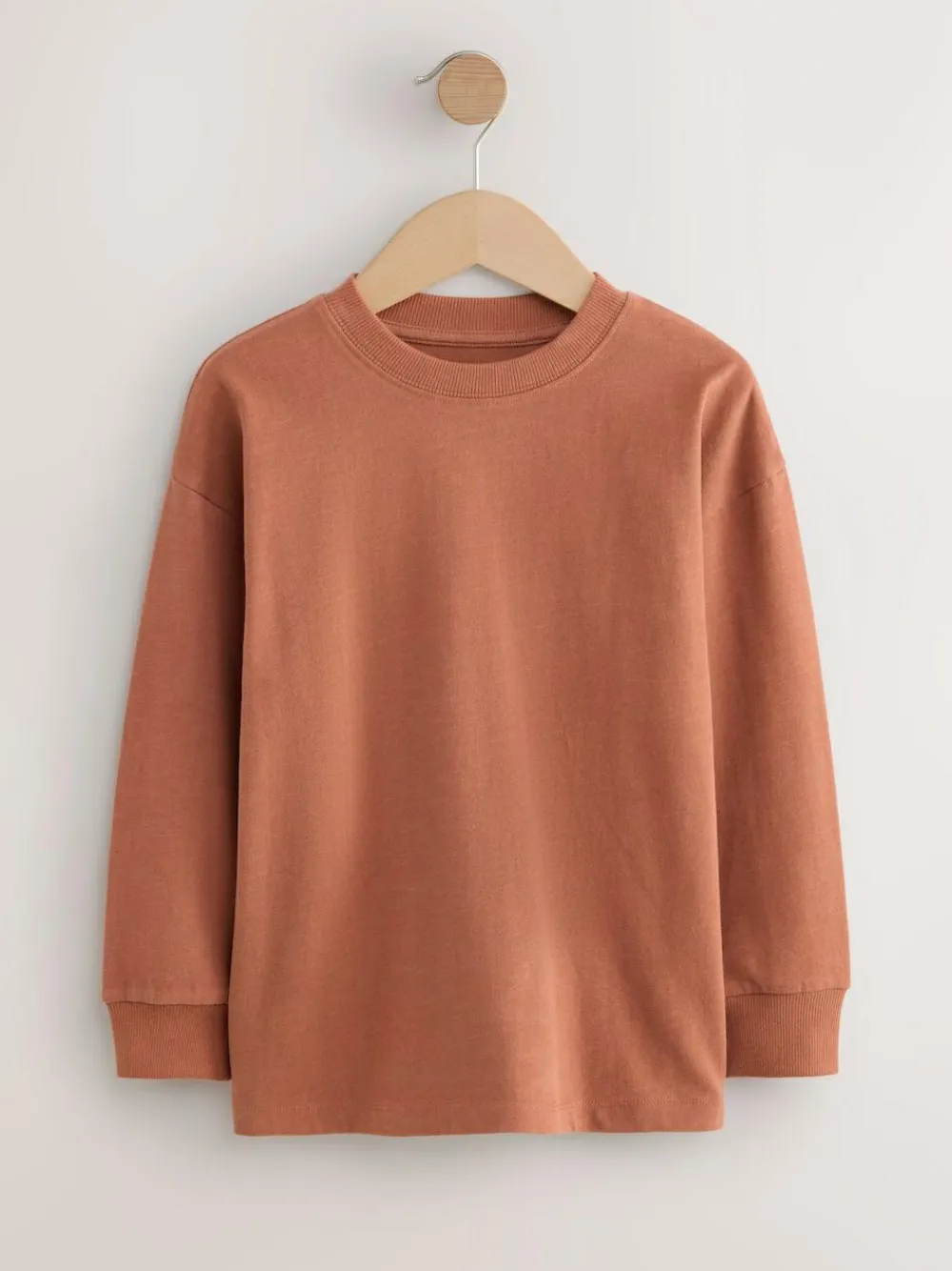Next Rust Red Regular Fit Long Sleeve Cosy T-Shirt (3-16yrs)^BOY Tops|T-Shirts
