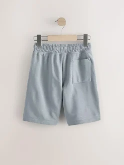 Next Slate Grey Regular Fit Basic Shorts (3-16yrs)^BOY Shorts