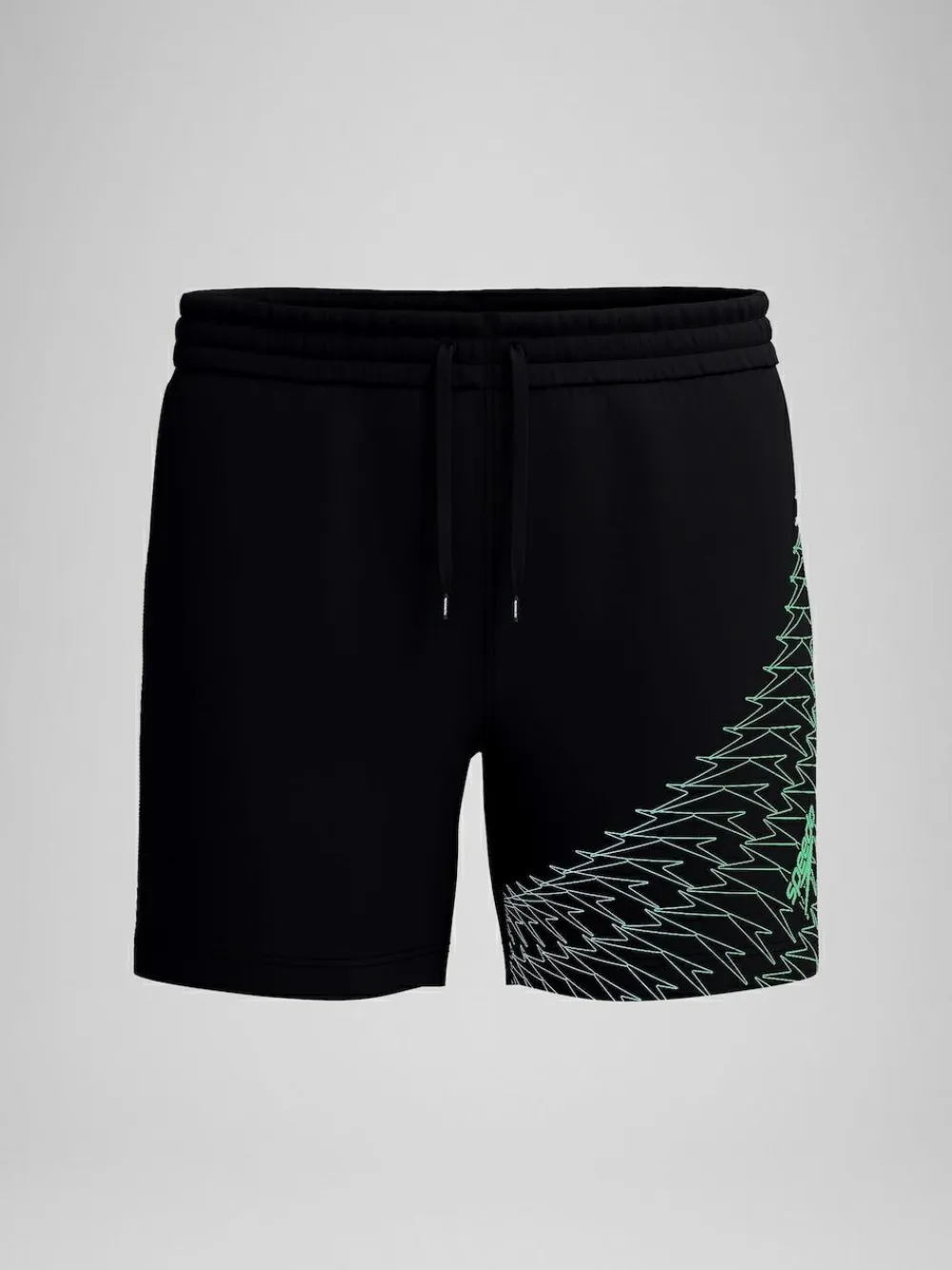 Discount Speedo Medley Logo 16" Water Shorts Green