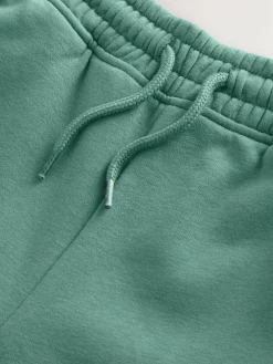 Clearance Next Teal Blue Slim Fit Joggers (3-16yrs)