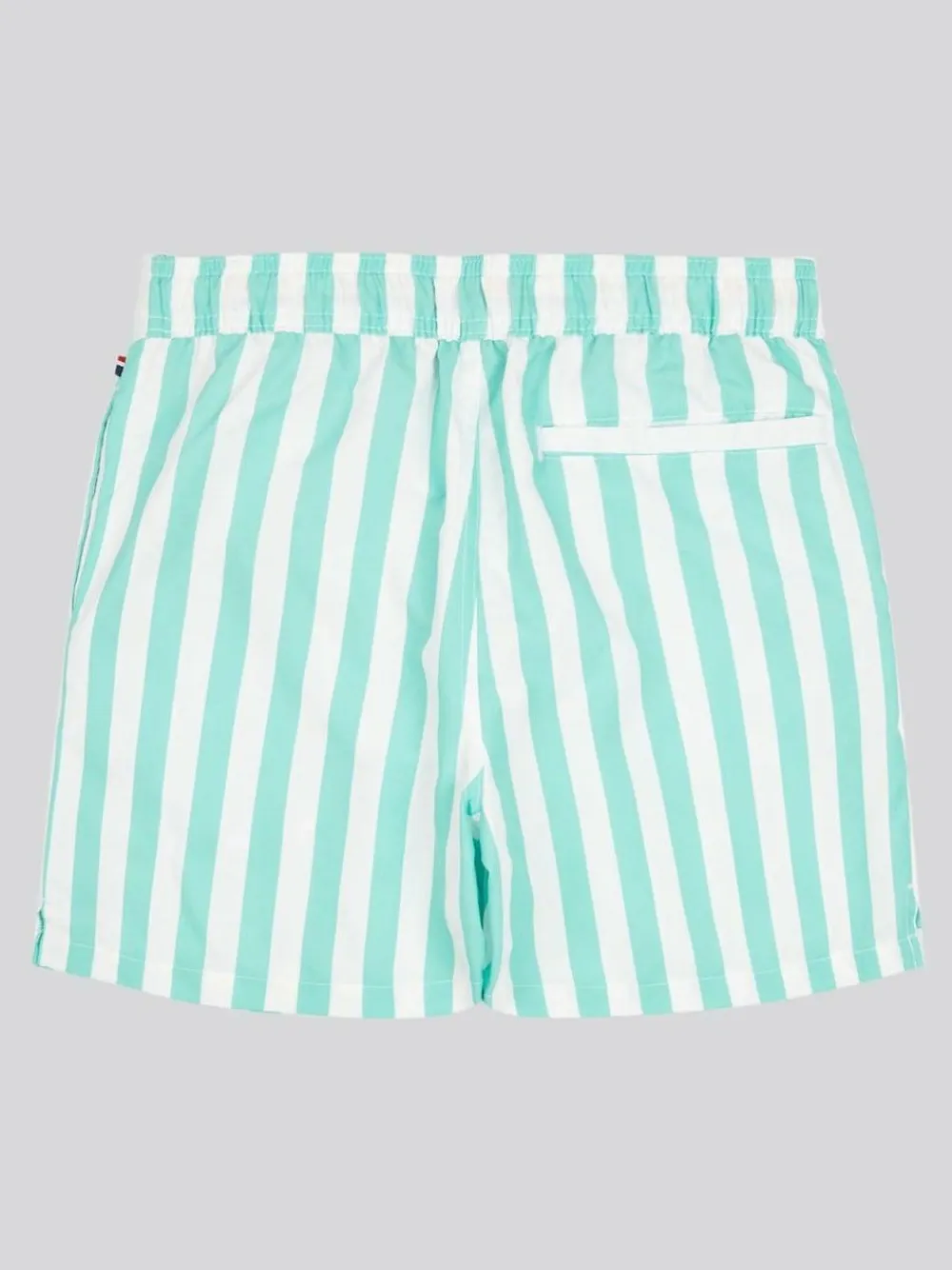 U.S. Polo Assn . Boys Stripe Swim Shorts^BOY Swimwear