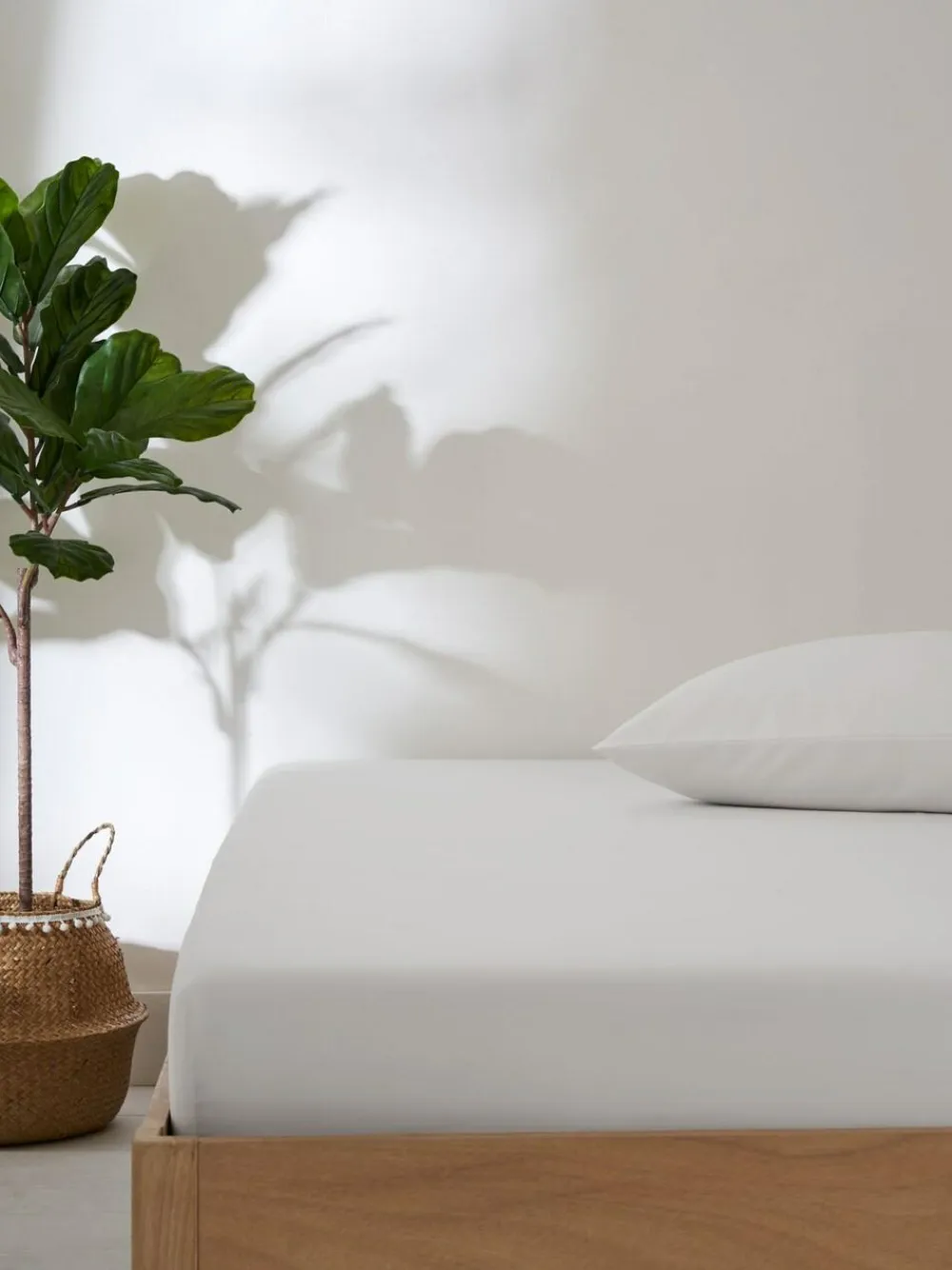 Next Non Iron Simply Soft 2 Pack Sheet White