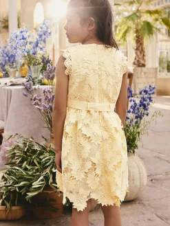 Hot Next Lace Occasion Dress (3-16yrs) Yellow