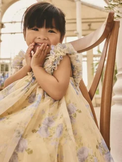 Next Ruffle Shoulder Mesh Dress (3mths-7yrs)^ Dresses