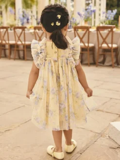 Next Ruffle Shoulder Mesh Dress (3mths-7yrs)^ Dresses