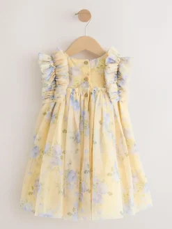 Next Ruffle Shoulder Mesh Dress (3mths-7yrs)^ Dresses